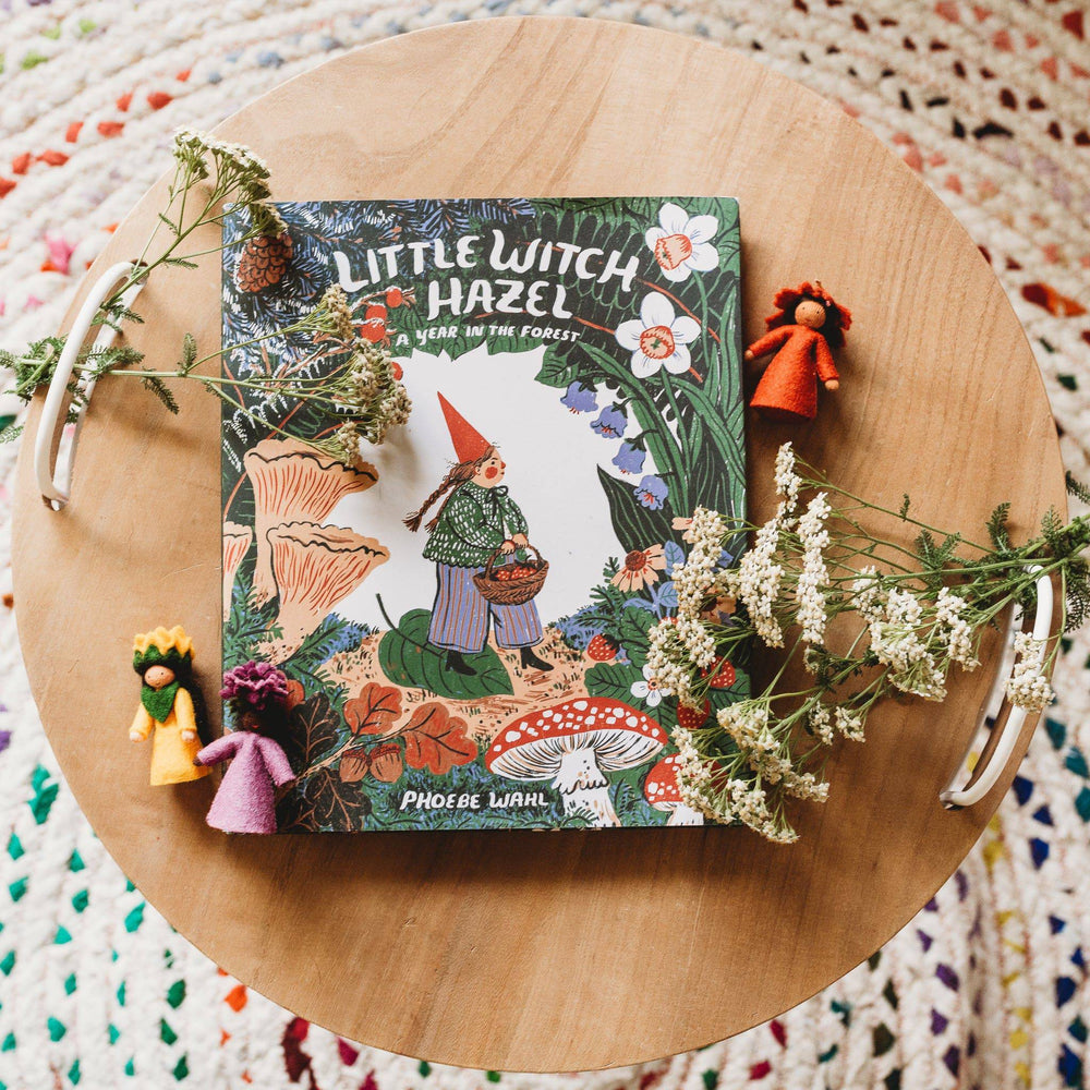 Cover of Little Witch Hazel by Phoebe Wahl