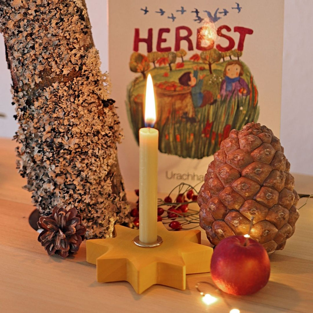 Grimm's Spiel & Holz- Wooden decorative yellow star- Bella Luna Toys